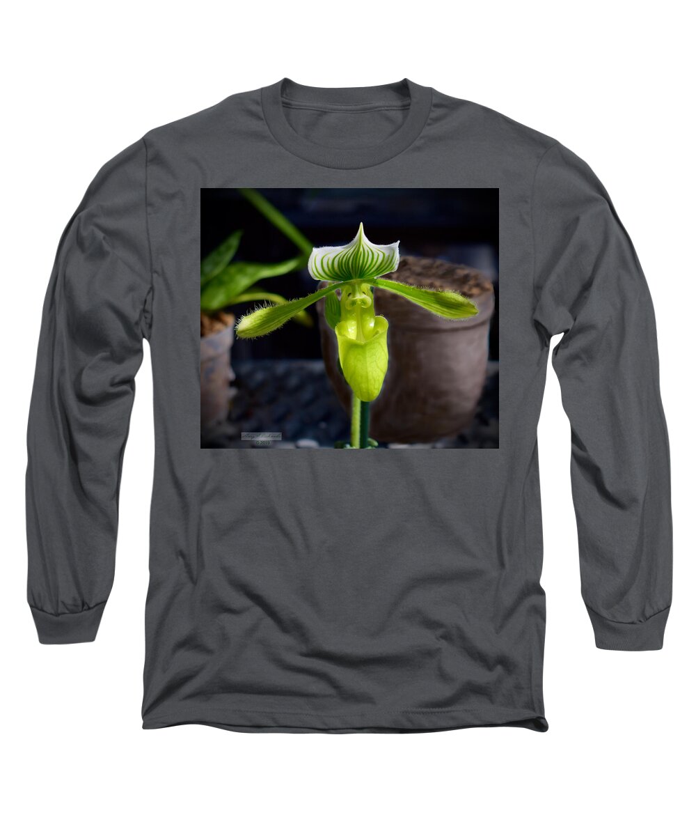 #marie #selby #botanical #gardens #botanicalgarden #sarasota Long Sleeve T-Shirt featuring the photograph Lady Slipper Orchid - green by Gary F Richards