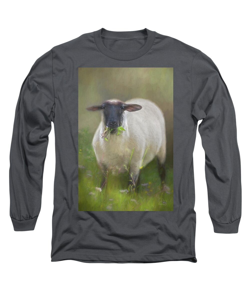 Sheep Long Sleeve T-Shirt featuring the photograph Let's Do Lunch by Debra Boucher