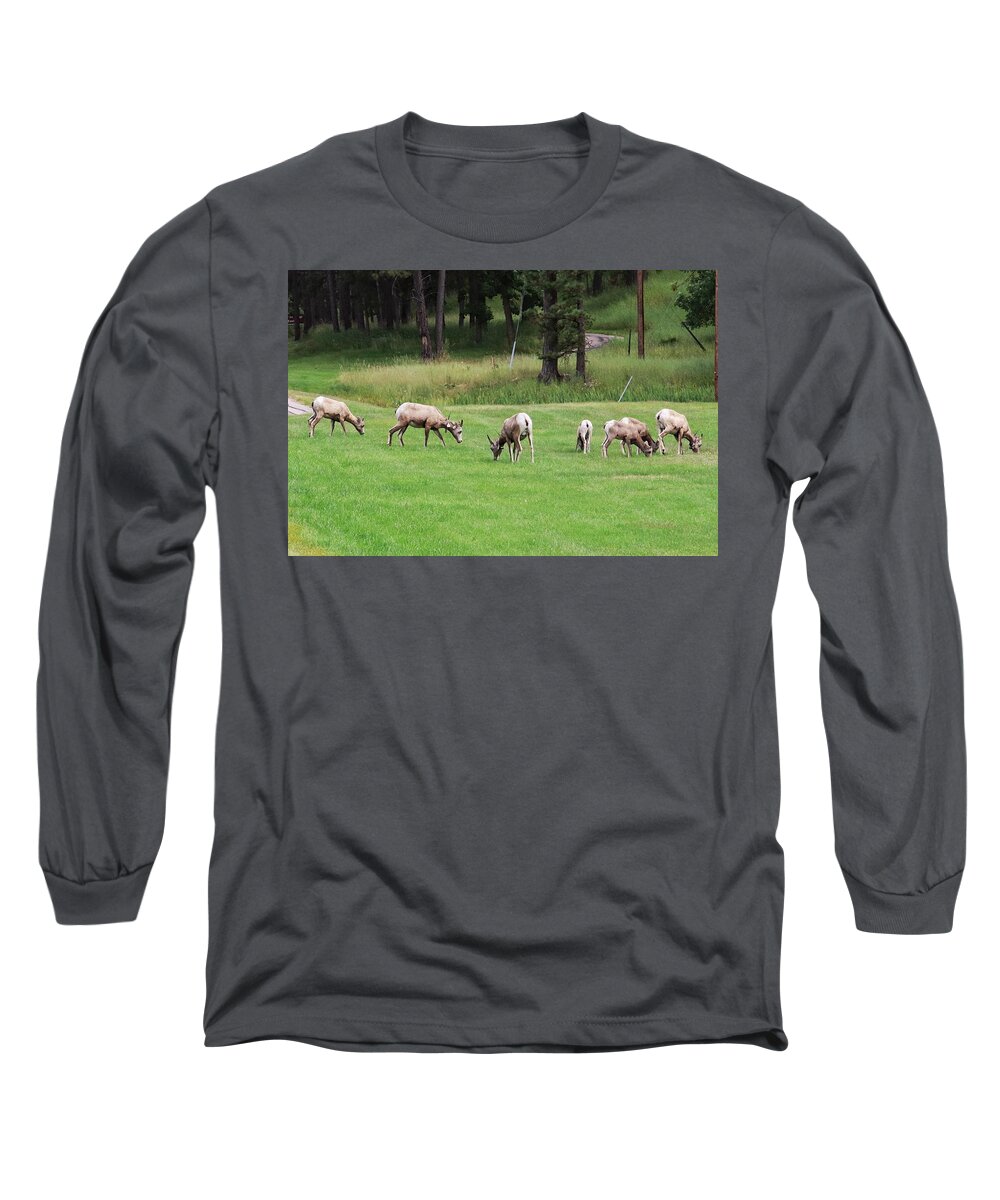 Longhorn Sheep At Custer Long Sleeve T-Shirt featuring the photograph Longhorn Sheep at Custer by Susan Jensen