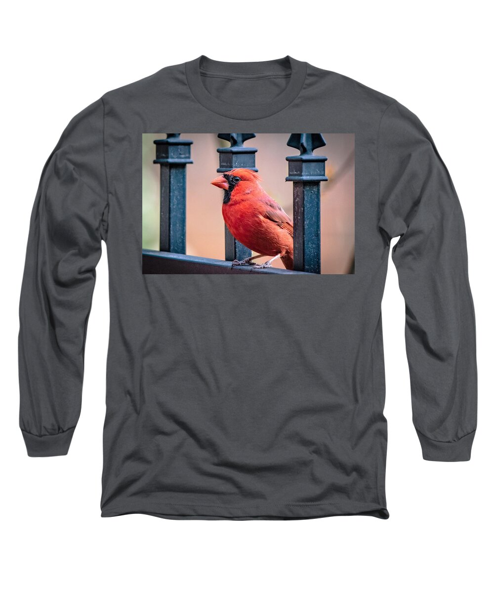 Male Cardinal Long Sleeve T-Shirt featuring the photograph Male Cardinal Portrait by Mary Ann Artz