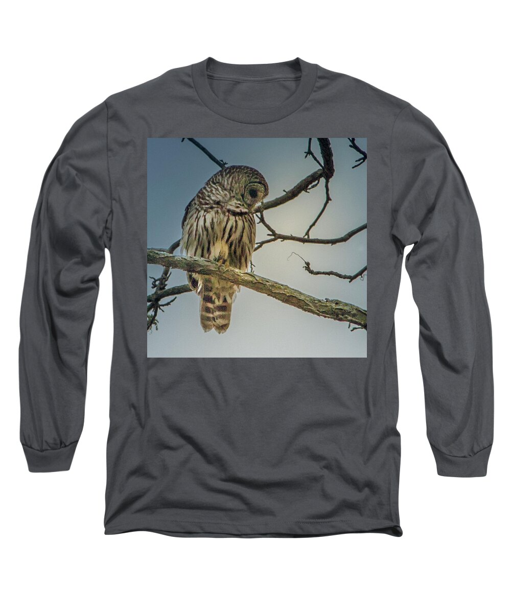 Owl Long Sleeve T-Shirt featuring the photograph Merlin Overlooking Camelot by David Wagenblatt