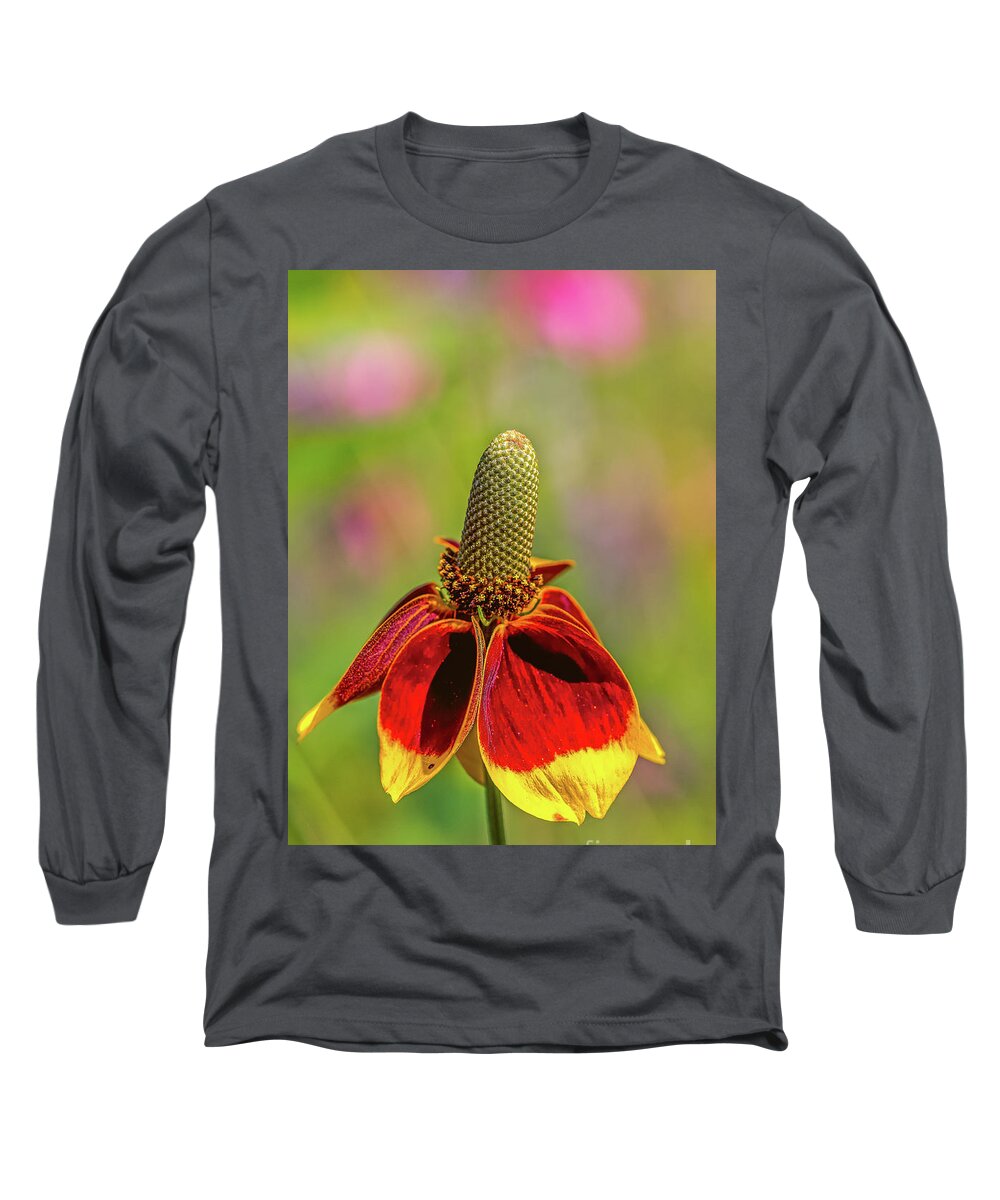 Amicalola-falls Long Sleeve T-Shirt featuring the photograph Mexican hat by Bernd Laeschke