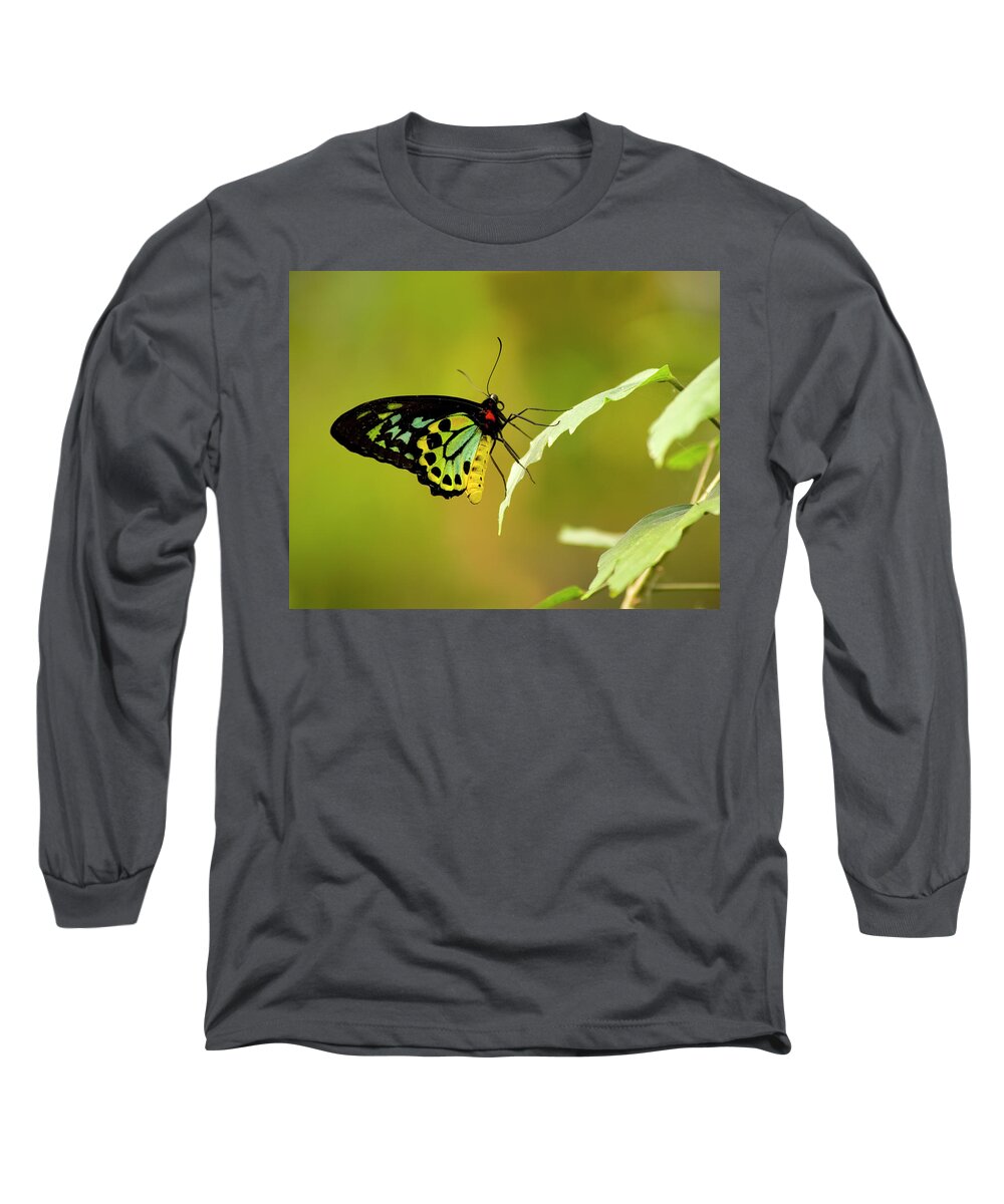 Photography Long Sleeve T-Shirt featuring the photograph Monarch by Jeffrey PERKINS