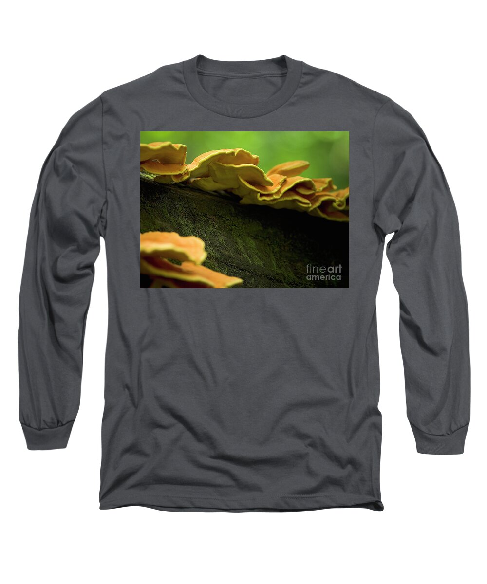 Mushrooms Long Sleeve T-Shirt featuring the photograph Mushrooms on a log II by Rich Collins