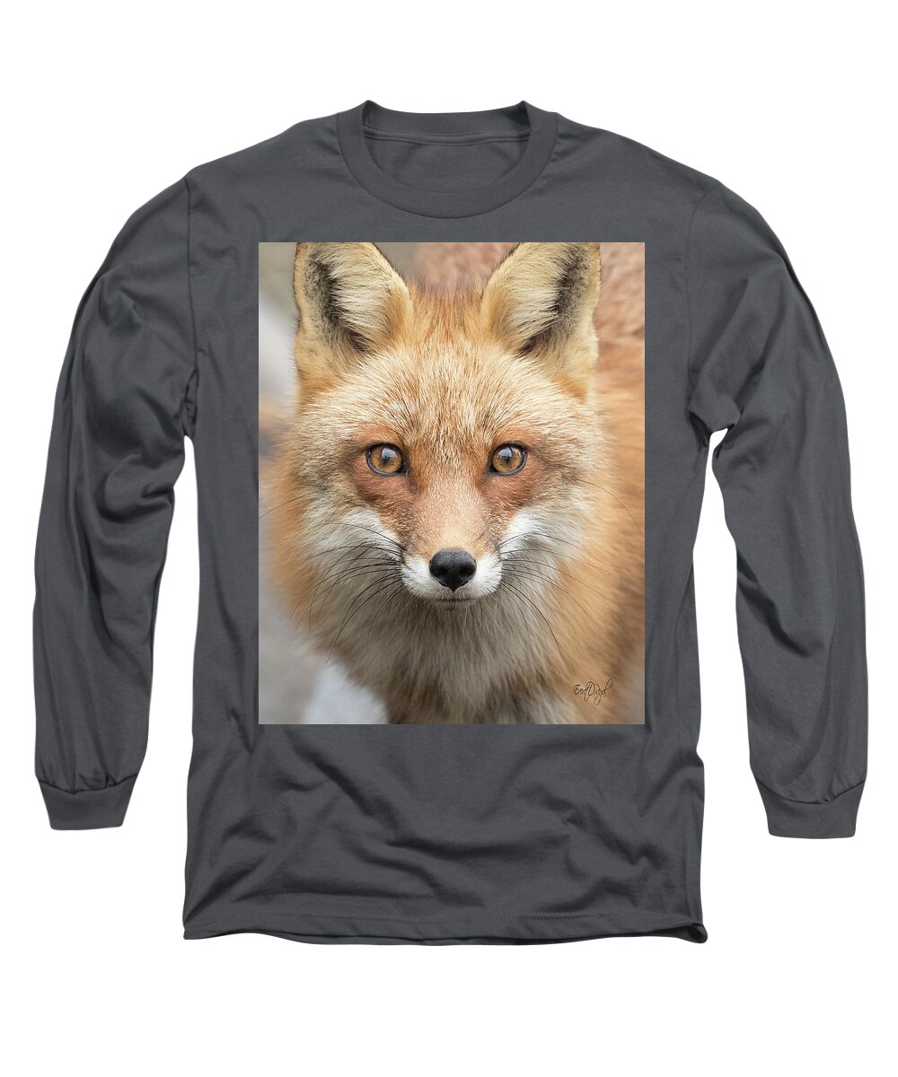 Red Fox Long Sleeve T-Shirt featuring the photograph My Eyes by Everet Regal