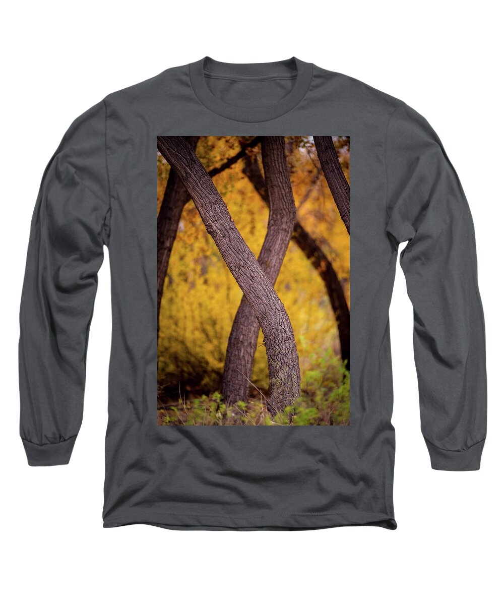 Cottonwood Tree Long Sleeve T-Shirt featuring the photograph Nature's Font by Jeff Phillippi