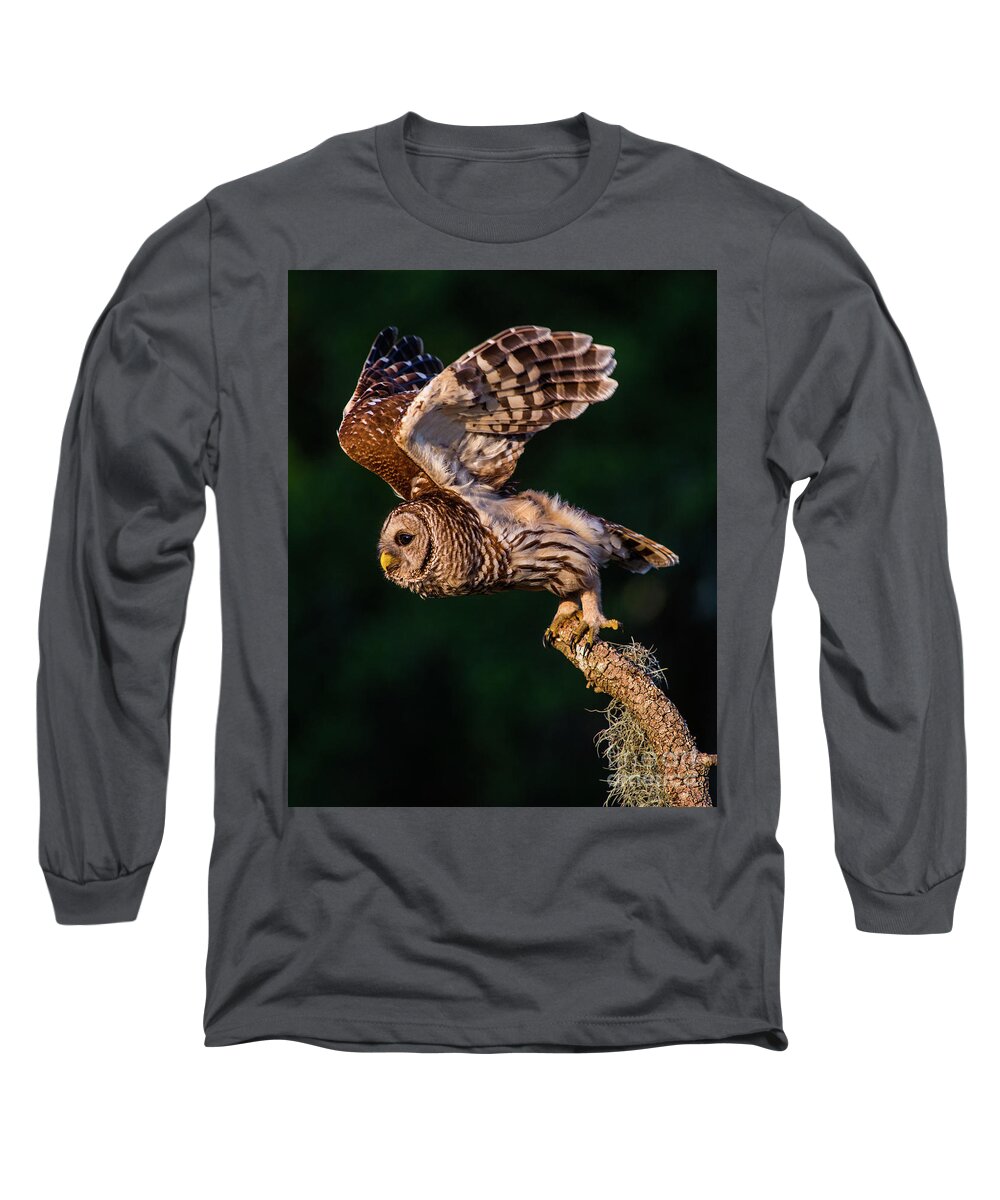 Barred Owl Long Sleeve T-Shirt featuring the photograph Off for the Hunt by Jane Axman