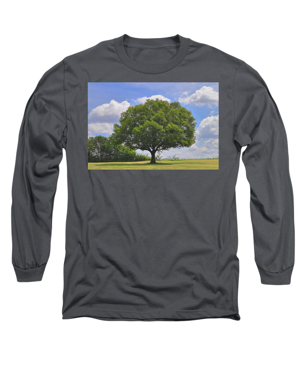 Hickory Tree Long Sleeve T-Shirt featuring the photograph Hackberry Tree in Summer by Steven Gordon