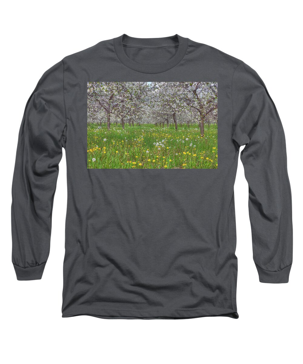 Door County Long Sleeve T-Shirt featuring the photograph Orchard Blooms by Paul Schultz