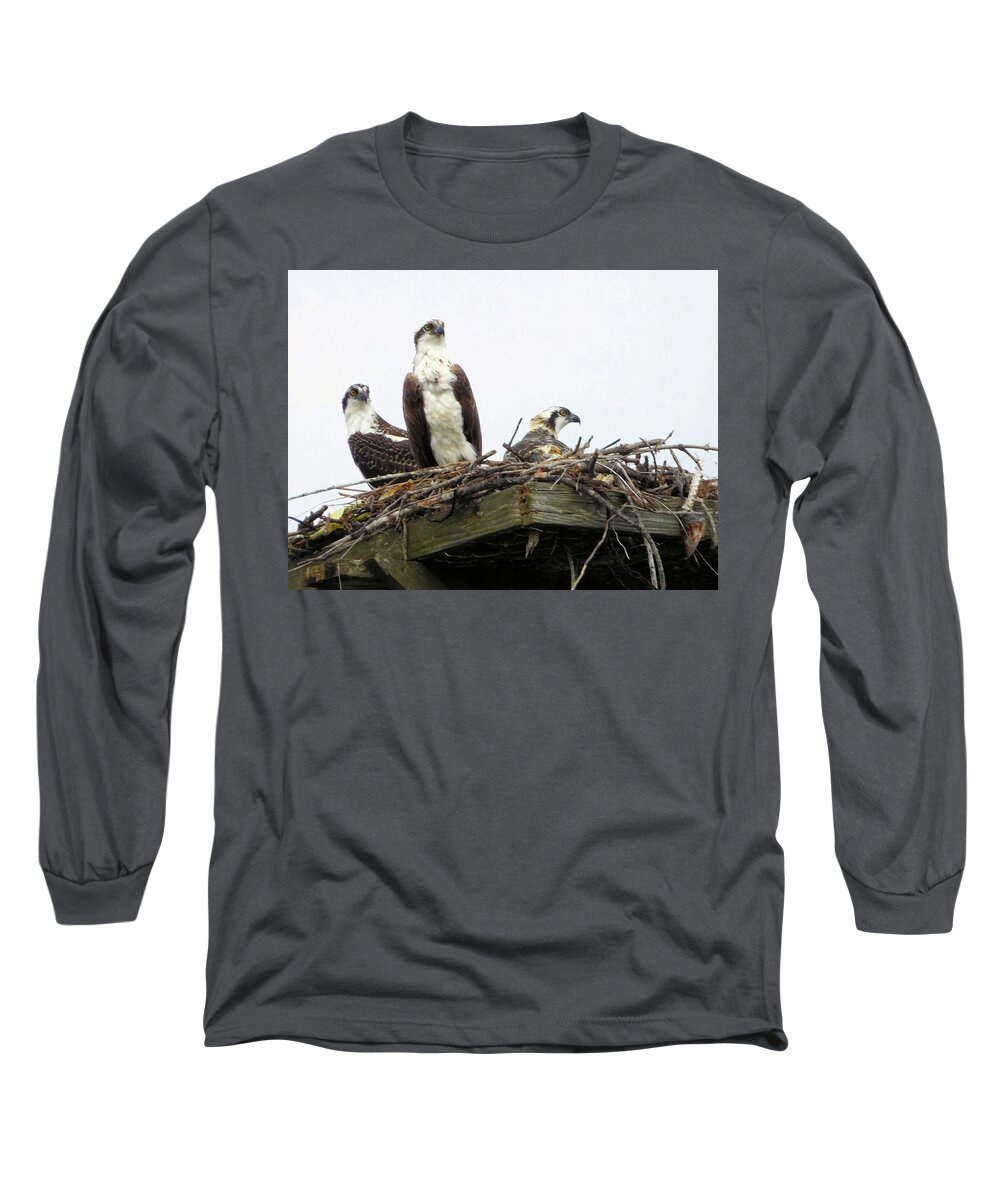 Birds Long Sleeve T-Shirt featuring the photograph Osprey Family by Karen Stansberry