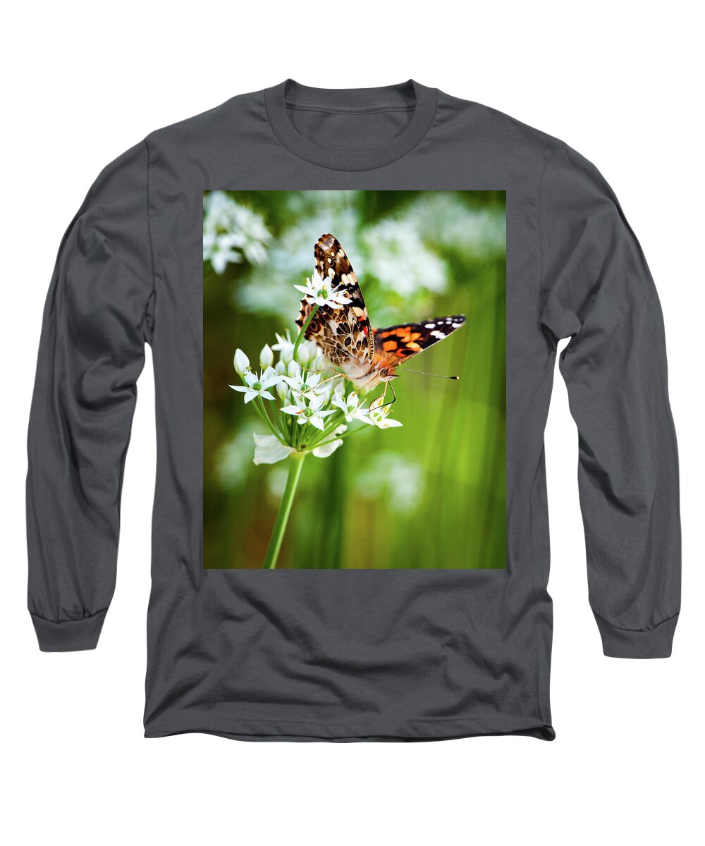 Painted Lady Long Sleeve T-Shirt featuring the photograph Painted Lady II by Jeff Phillippi