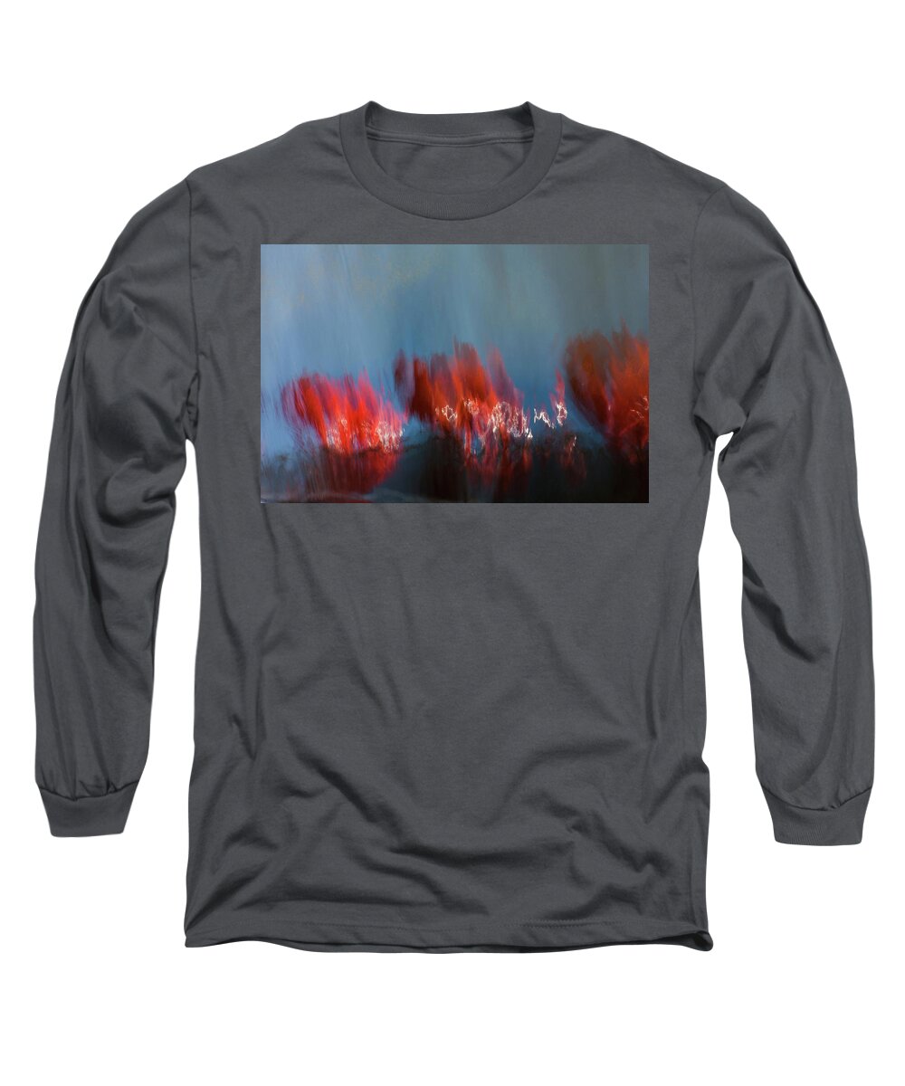  Long Sleeve T-Shirt featuring the photograph Painting fuccia by Mache Del Campo
