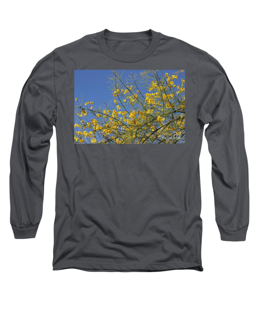 Palo Brea Long Sleeve T-Shirt featuring the photograph Palo Brea Tree in Bloom against Desert Sky by Colleen Cornelius