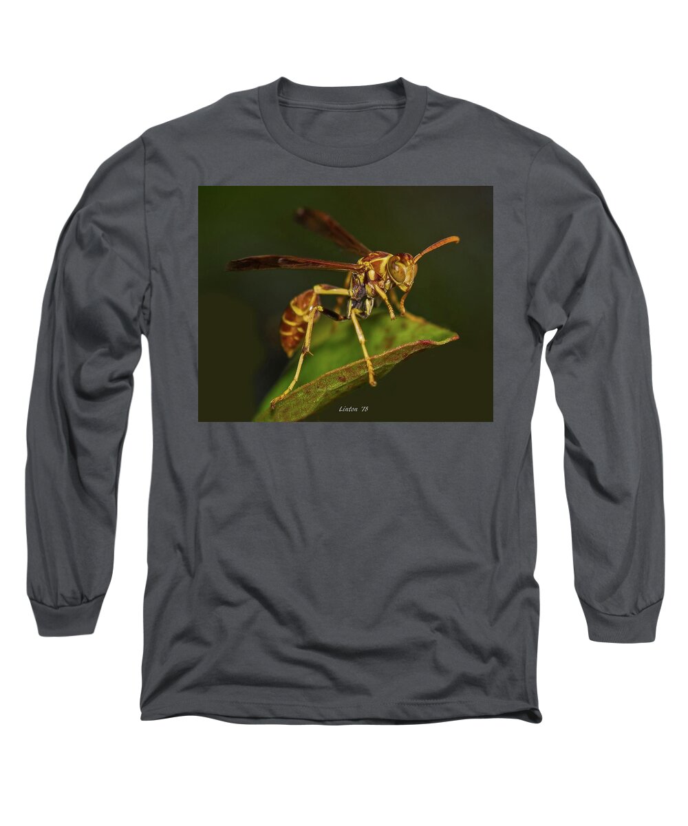 Wasp Long Sleeve T-Shirt featuring the photograph Paper Wasp by Larry Linton