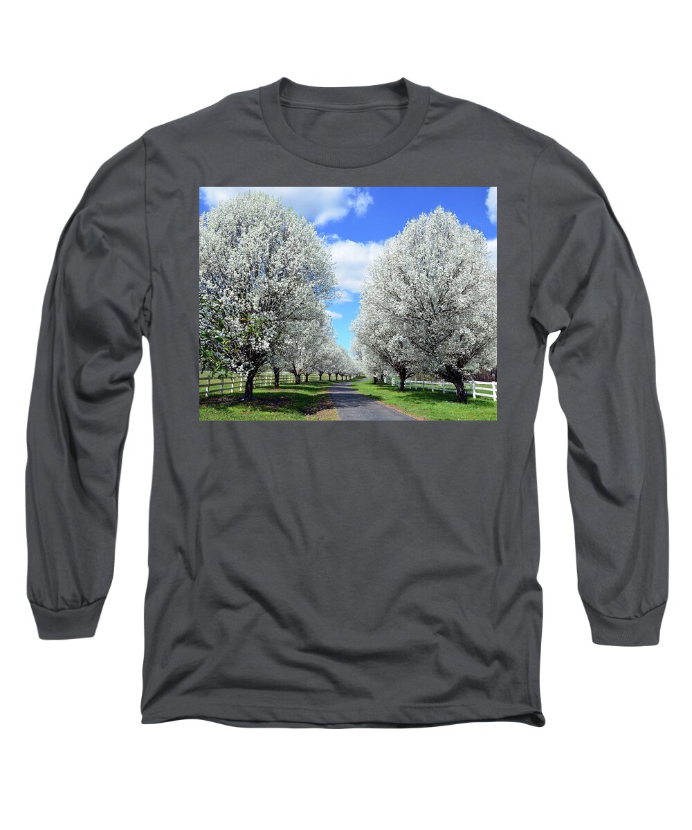 Bradford Pear Trees Long Sleeve T-Shirt featuring the photograph Paradise Lane by Michael Frank