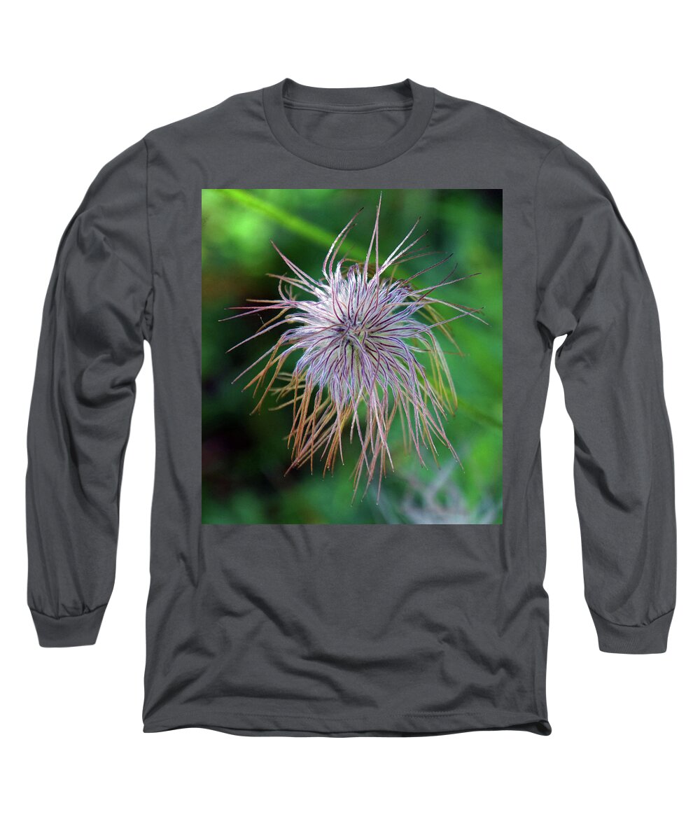 Flower Long Sleeve T-Shirt featuring the photograph Pasque Flower is a species belonging to the buttercup family Ran by Steve Estvanik