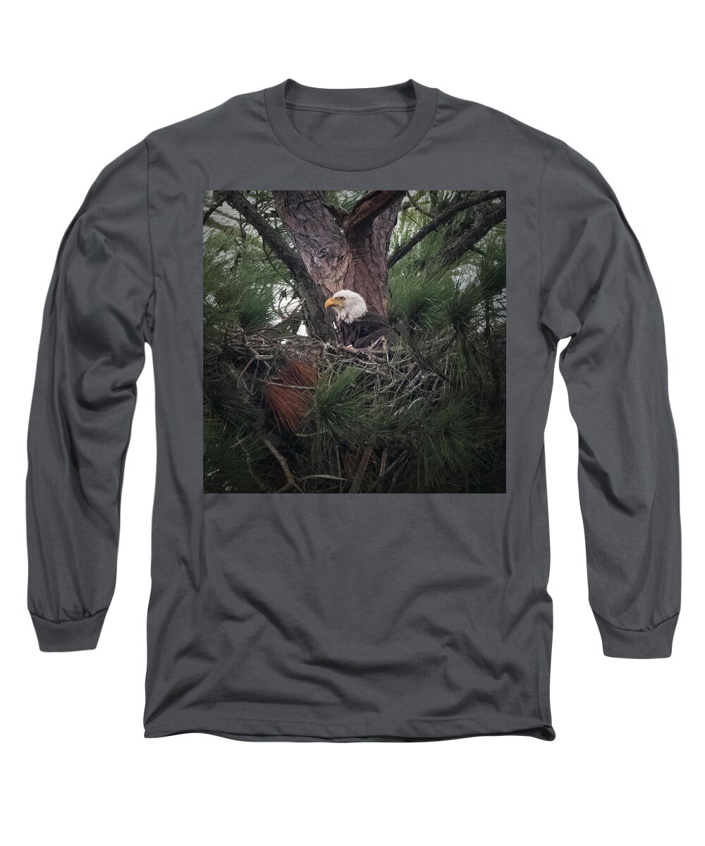 Nesting Long Sleeve T-Shirt featuring the photograph Patiently Waiting by JASawyer Imaging