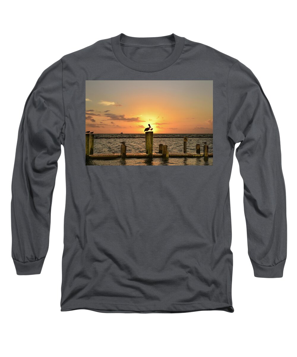  Long Sleeve T-Shirt featuring the photograph Pelican Sunrise by Christopher Rice