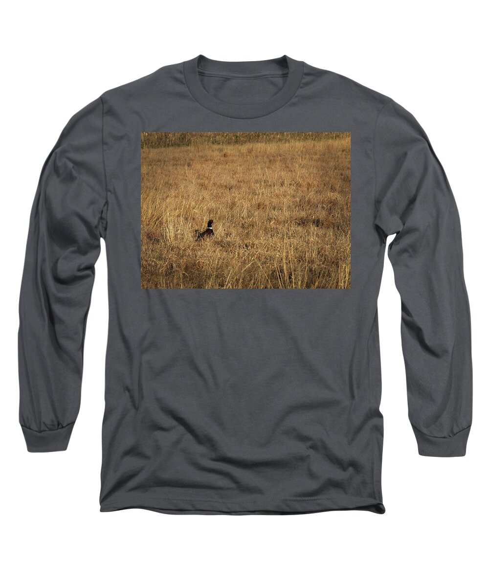 Richard E. Porter Long Sleeve T-Shirt featuring the photograph Pheasant in CRP - Floyd County, Texas by Richard Porter