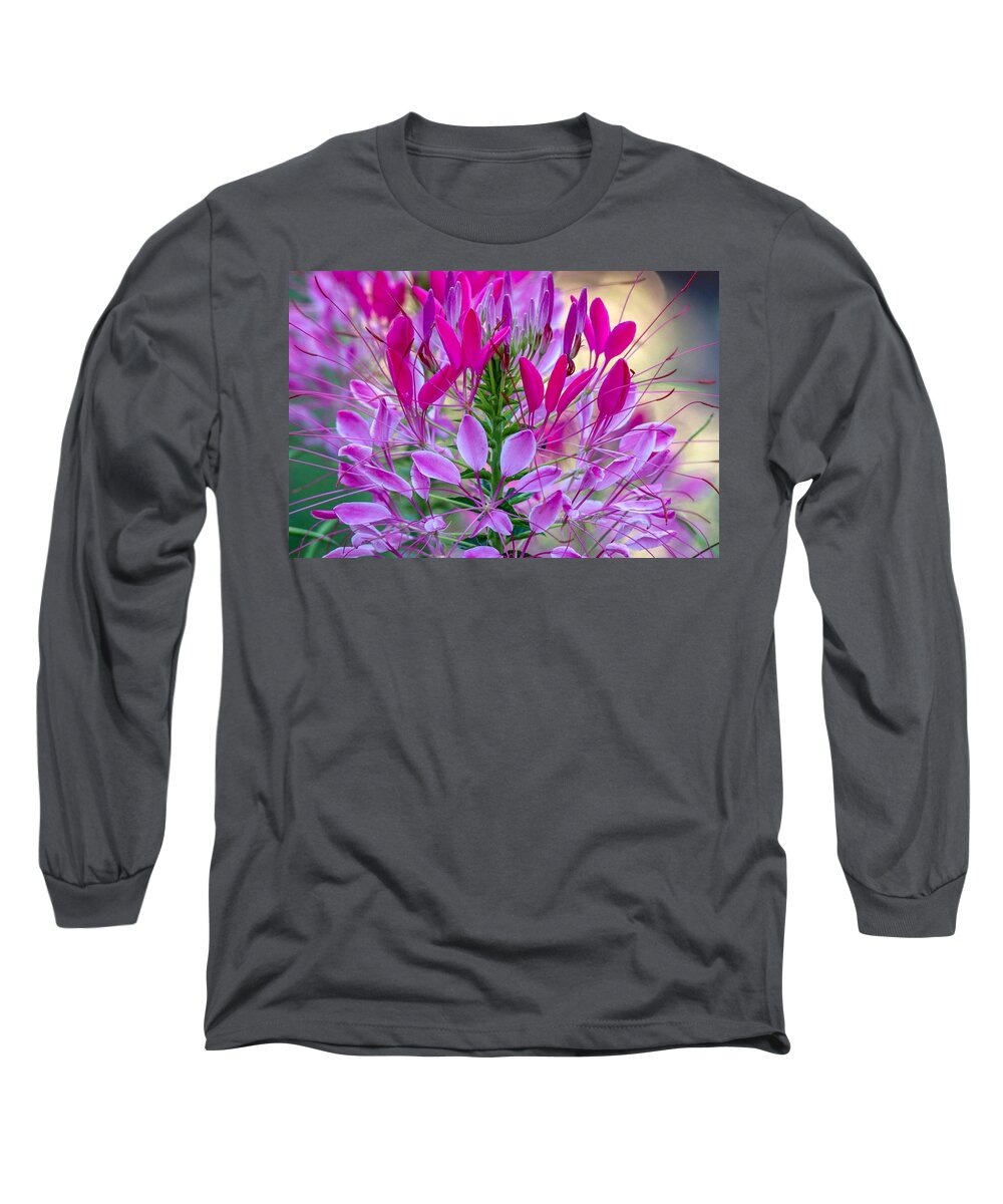 Floral Long Sleeve T-Shirt featuring the photograph Pink Queen Flower by Susan Rydberg