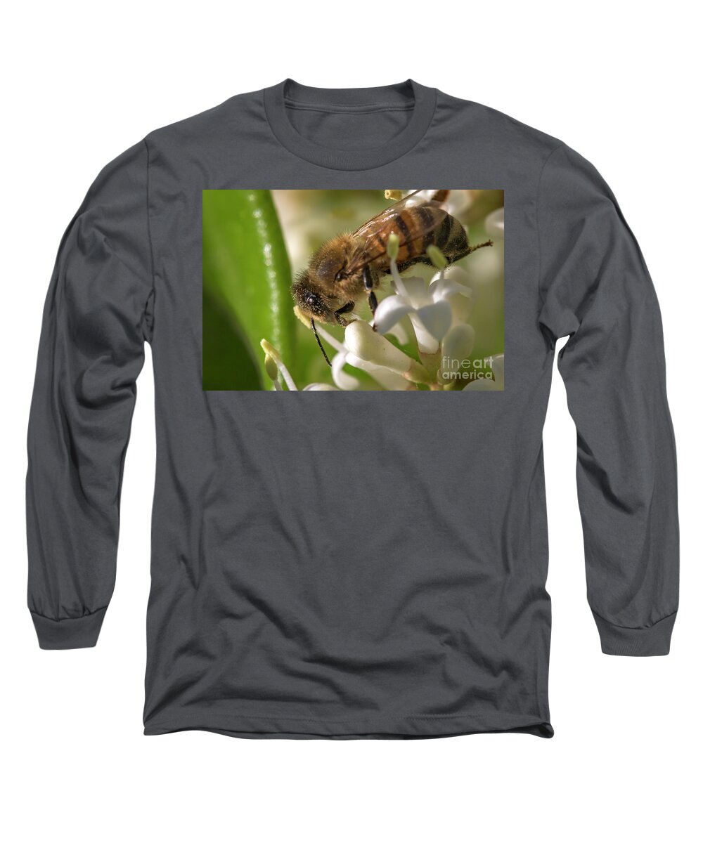 Shawn Jeffries Long Sleeve T-Shirt featuring the photograph Pollen Dusting by Shawn Jeffries