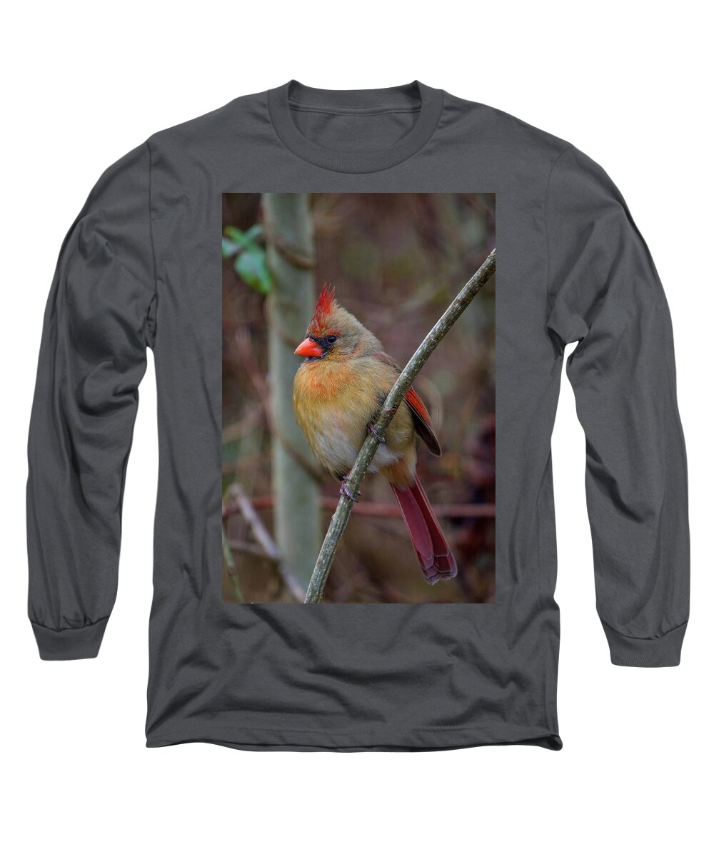 Birds Long Sleeve T-Shirt featuring the photograph Portrait of a Lady by Robert J Wagner