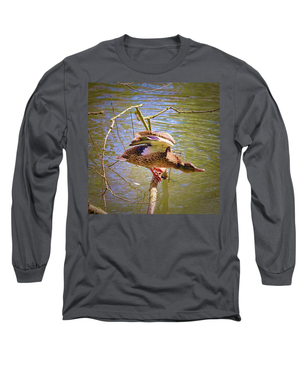 Posing Model Long Sleeve T-Shirt featuring the photograph Posing Model #i0 by Leif Sohlman