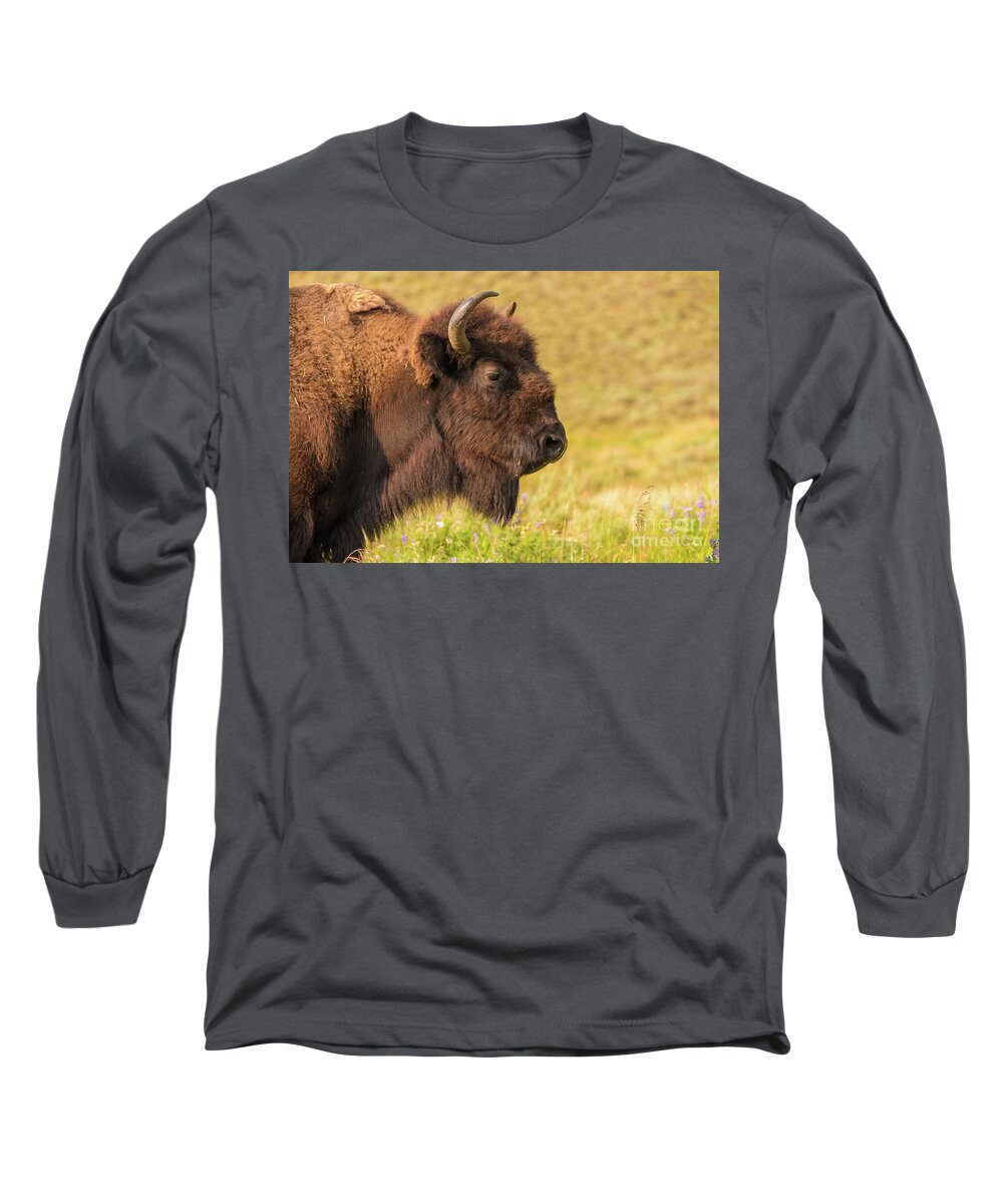 Wild Long Sleeve T-Shirt featuring the photograph Power Head by Dheeraj Mutha