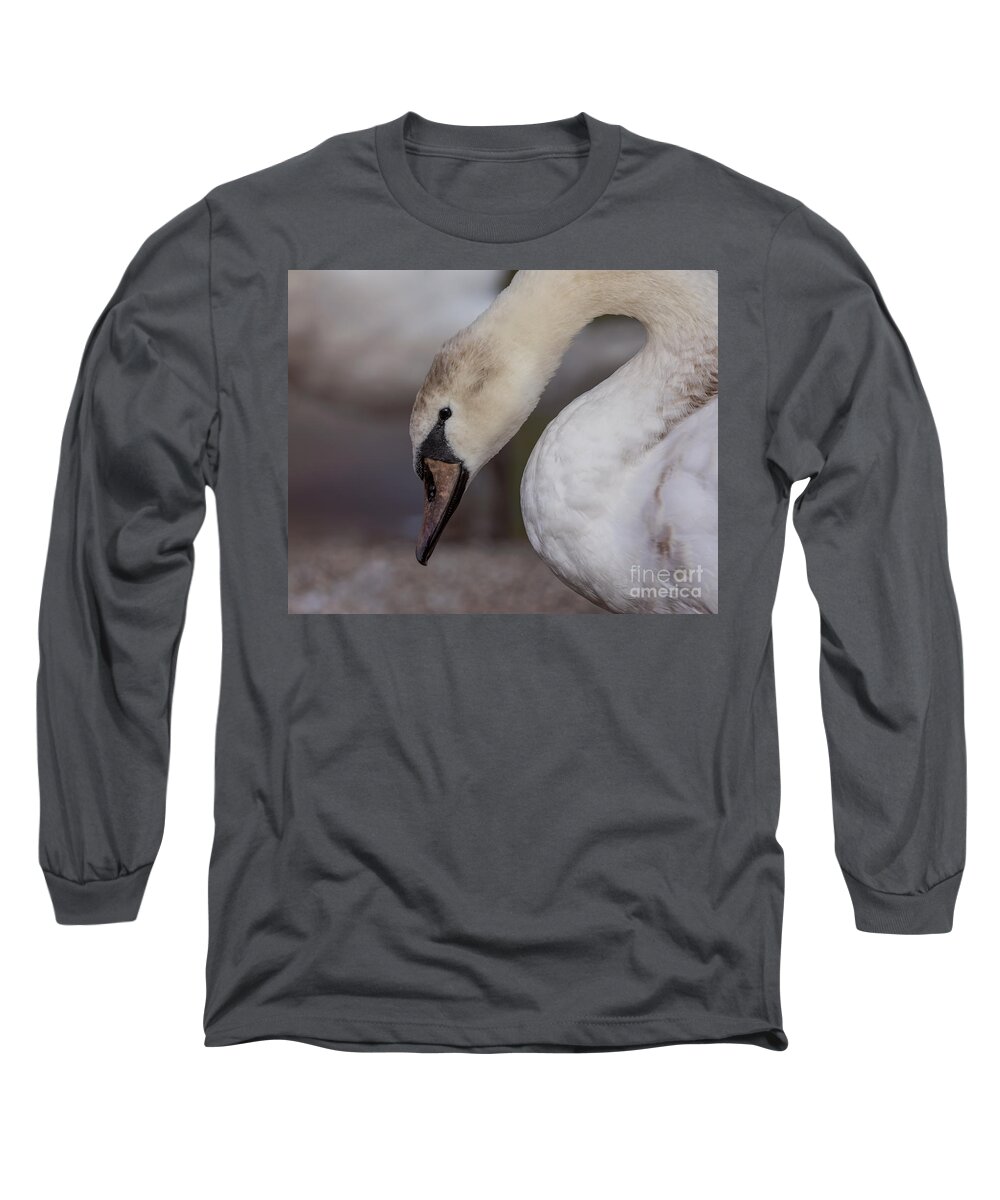 Photography Long Sleeve T-Shirt featuring the photograph Pretty Cygnet by Alma Danison