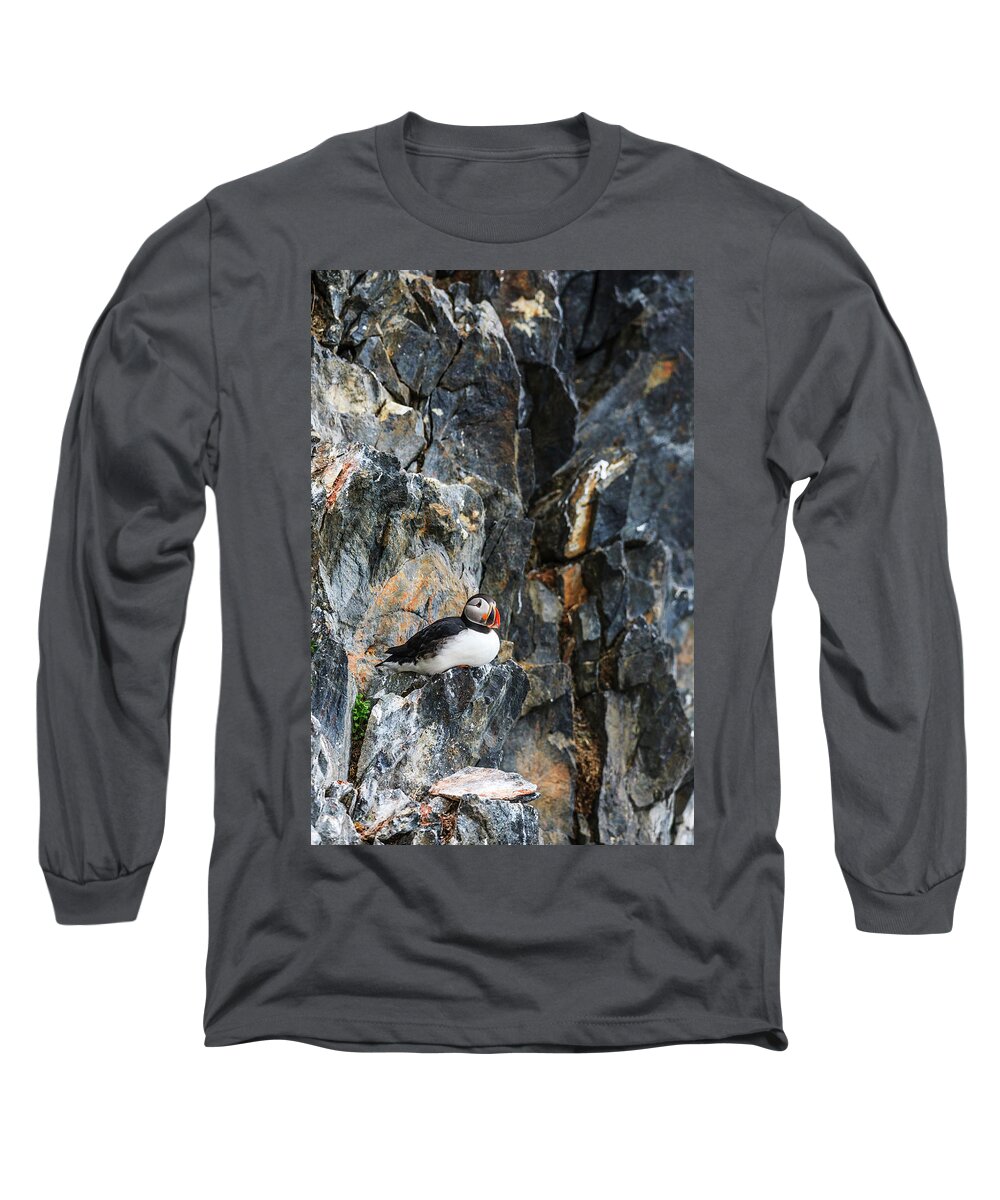 Heike Odermatt Long Sleeve T-Shirt featuring the photograph Puffin On Kross Fjord Cliff by Heike Odermatt