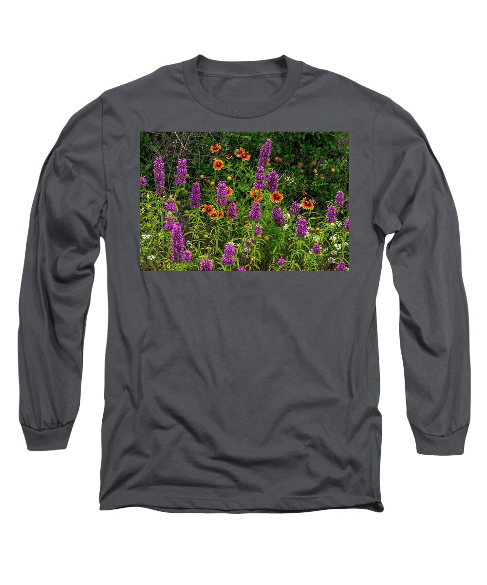 Texas Wildflowers Long Sleeve T-Shirt featuring the photograph Purple Horsemint Morning by Johnny Boyd