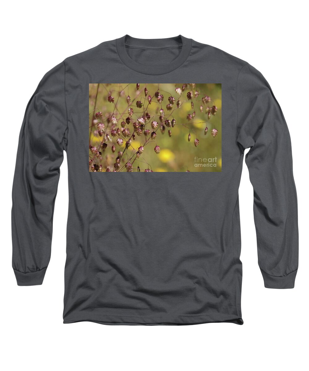 Grass Quaking Nature Meadow Ireland Summer Long Sleeve T-Shirt featuring the photograph Quaking grass by Peter Skelton