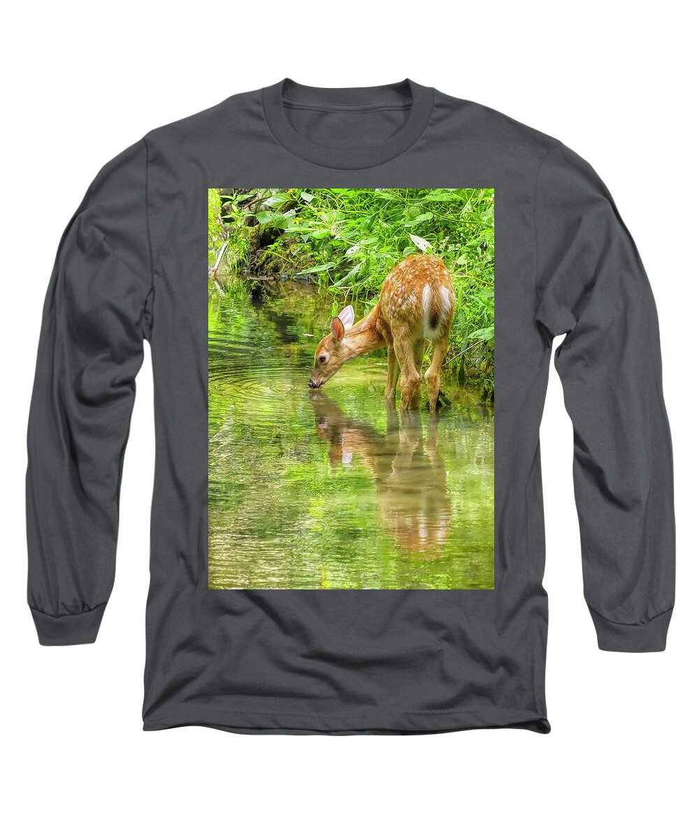 Deer Long Sleeve T-Shirt featuring the photograph Quiet by Farol Tomson