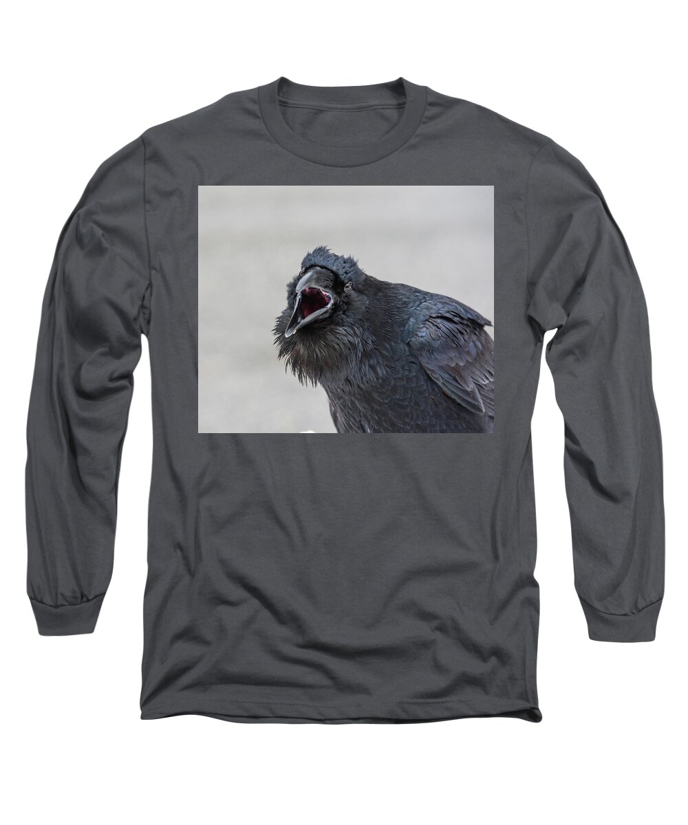 Raven Long Sleeve T-Shirt featuring the photograph Raven 5 by David Kirby