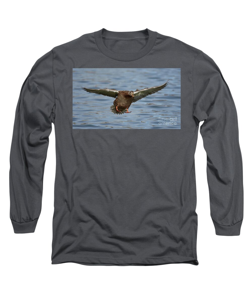 Ducks Long Sleeve T-Shirt featuring the photograph Ready For Landing by Robert WK Clark