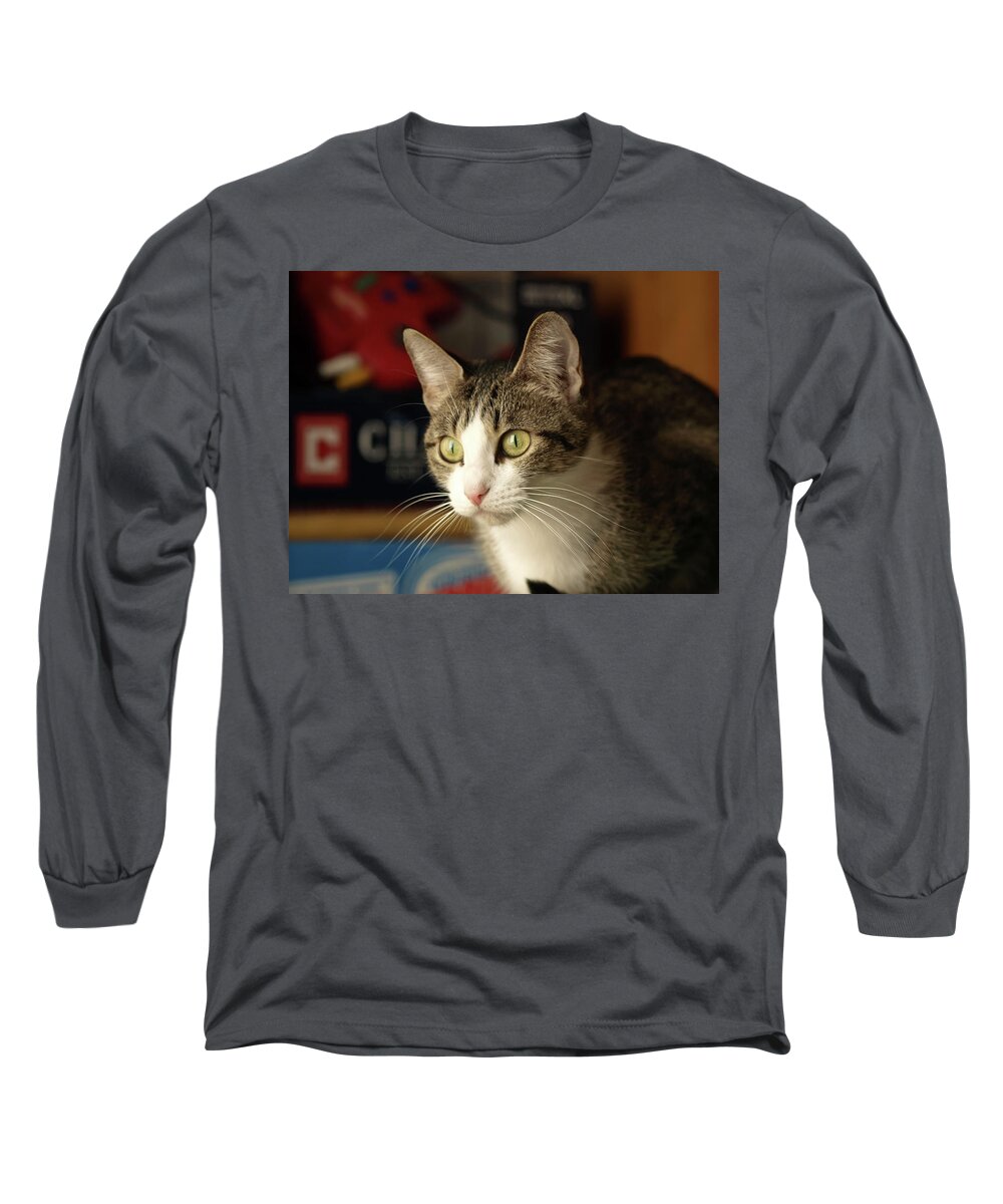 Grey Long Sleeve T-Shirt featuring the photograph Really by C Winslow Shafer
