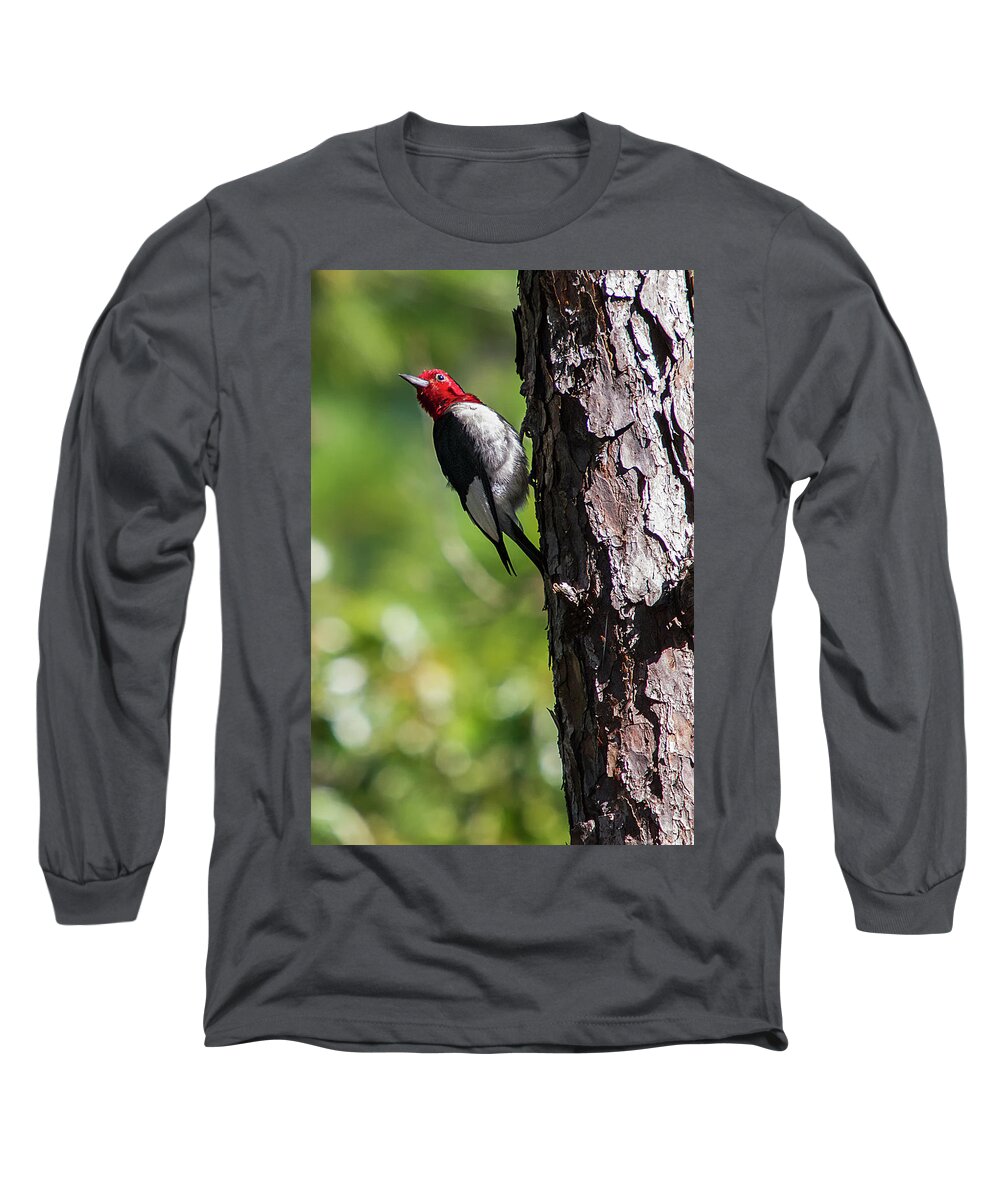 Woodpecker Long Sleeve T-Shirt featuring the photograph Redhead Woodpecker II by Bob Decker