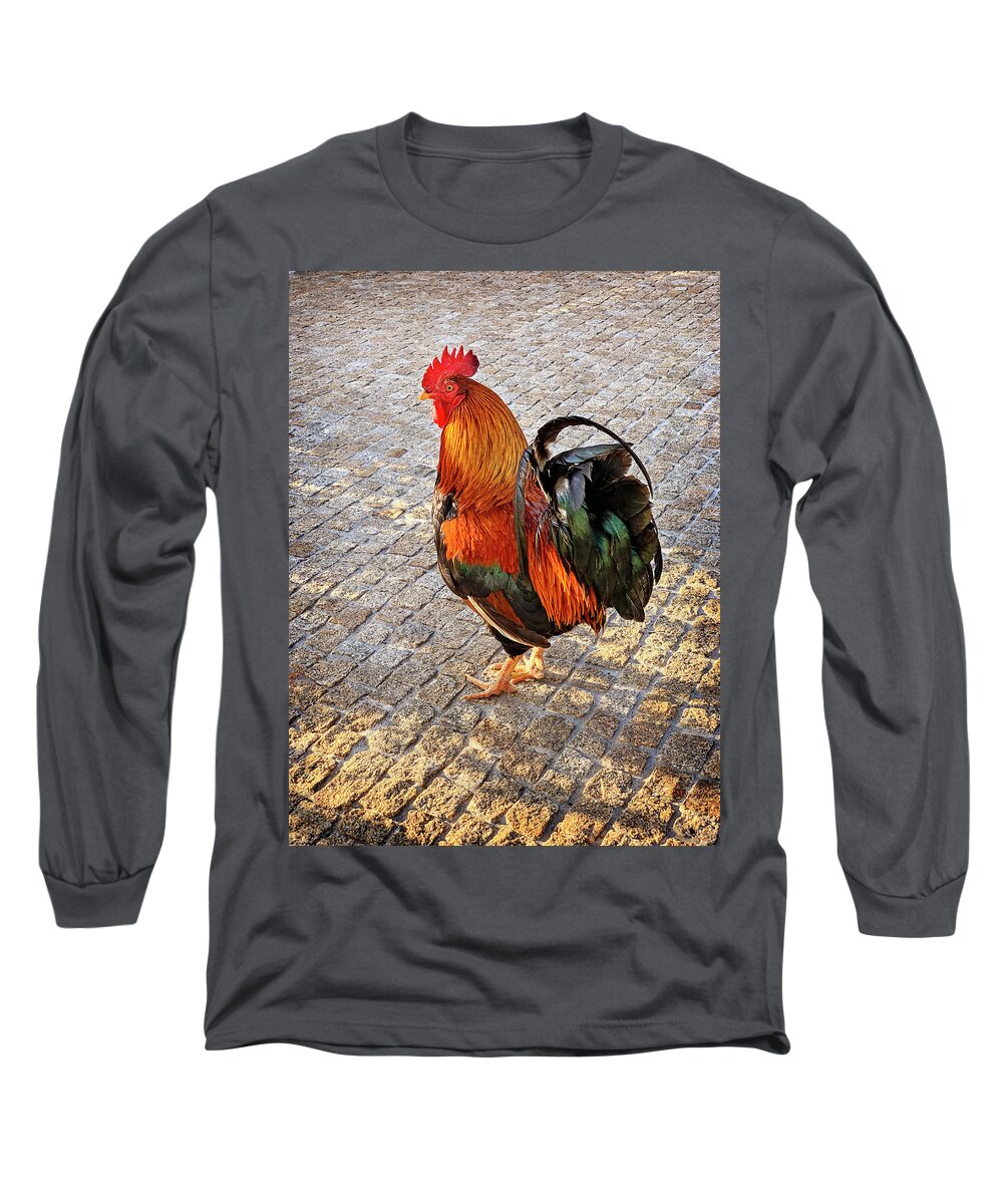 Rooster Long Sleeve T-Shirt featuring the photograph Rooster Strut by Jill Love