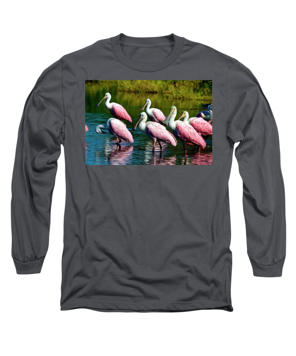 Roseate Spoonbill Birds Long Sleeve T-Shirt featuring the photograph Roseate Spoonbills by Sally Weigand