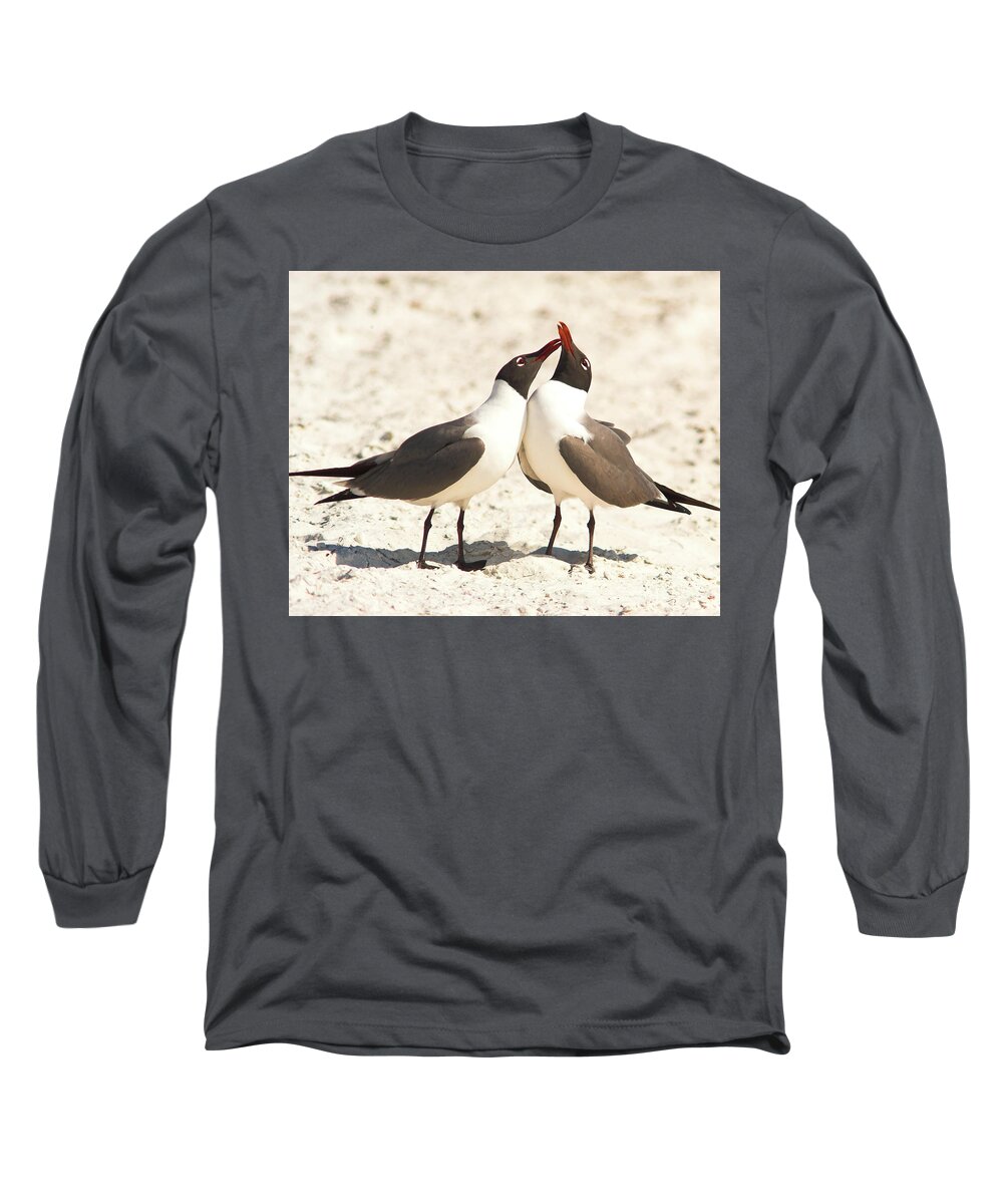Laughing Gull Long Sleeve T-Shirt featuring the photograph Seagull Love by Jane Axman