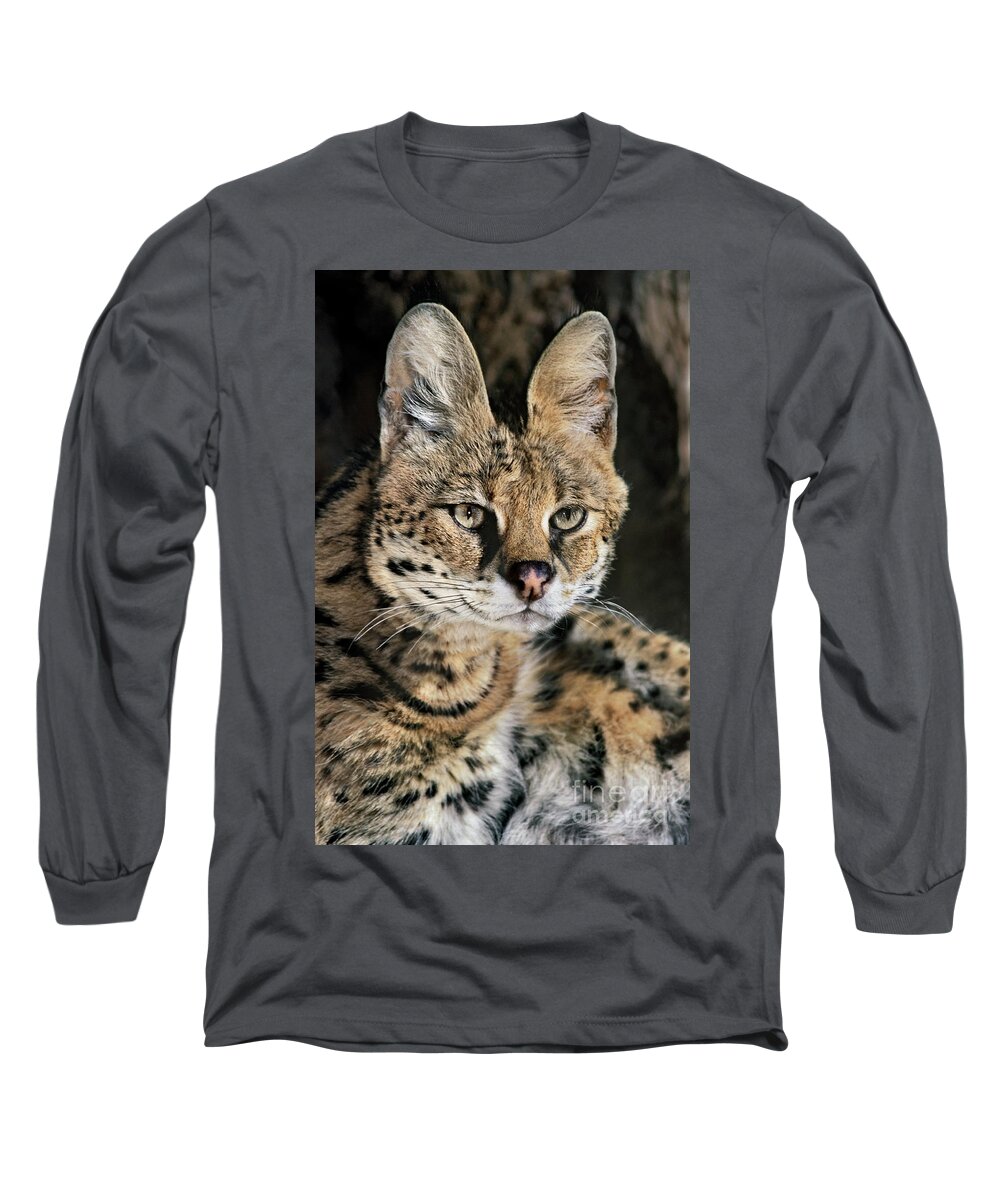 Dave Welling Long Sleeve T-Shirt featuring the photograph Serval Portrait Wildlife Rescue by Dave Welling