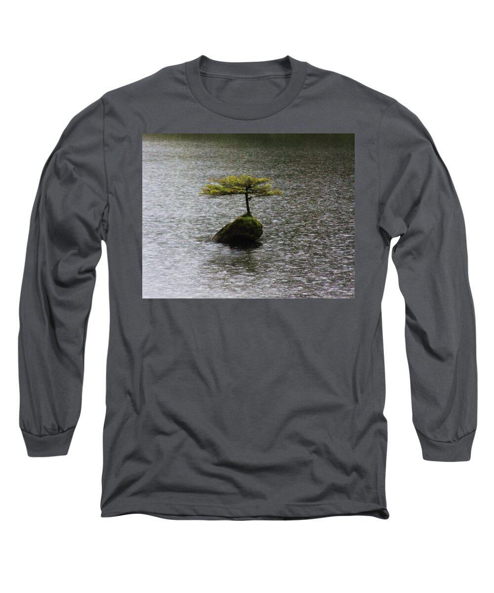 Tree Long Sleeve T-Shirt featuring the photograph Shelter by Fred Bailey