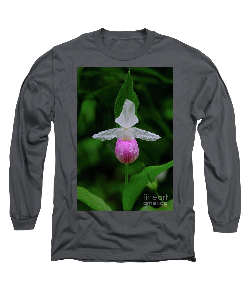 Blossom Long Sleeve T-Shirt featuring the photograph Showy Lady Slipper by Bill Frische