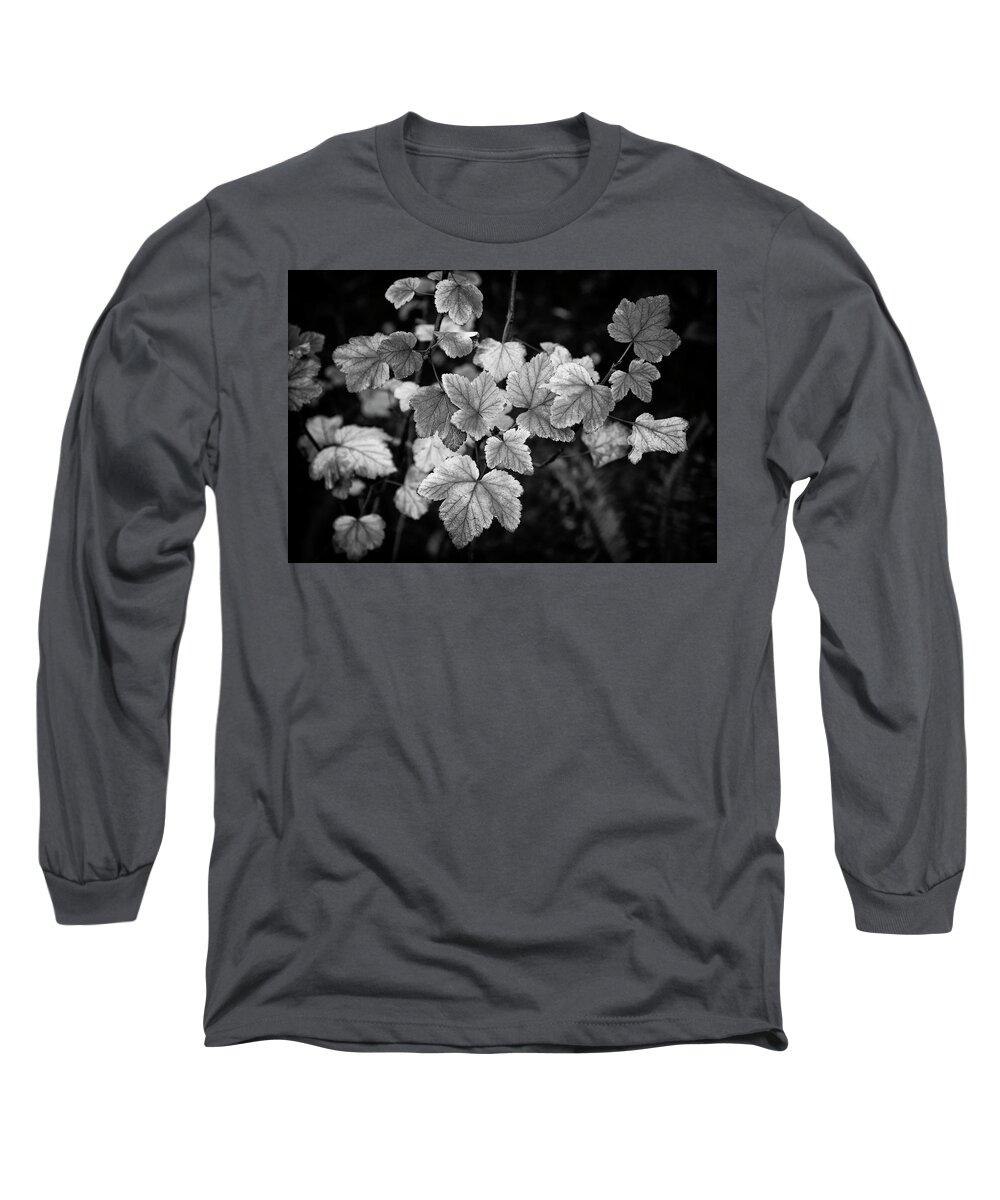 Leaf Long Sleeve T-Shirt featuring the photograph Slipping Into Fall by Steven Clark