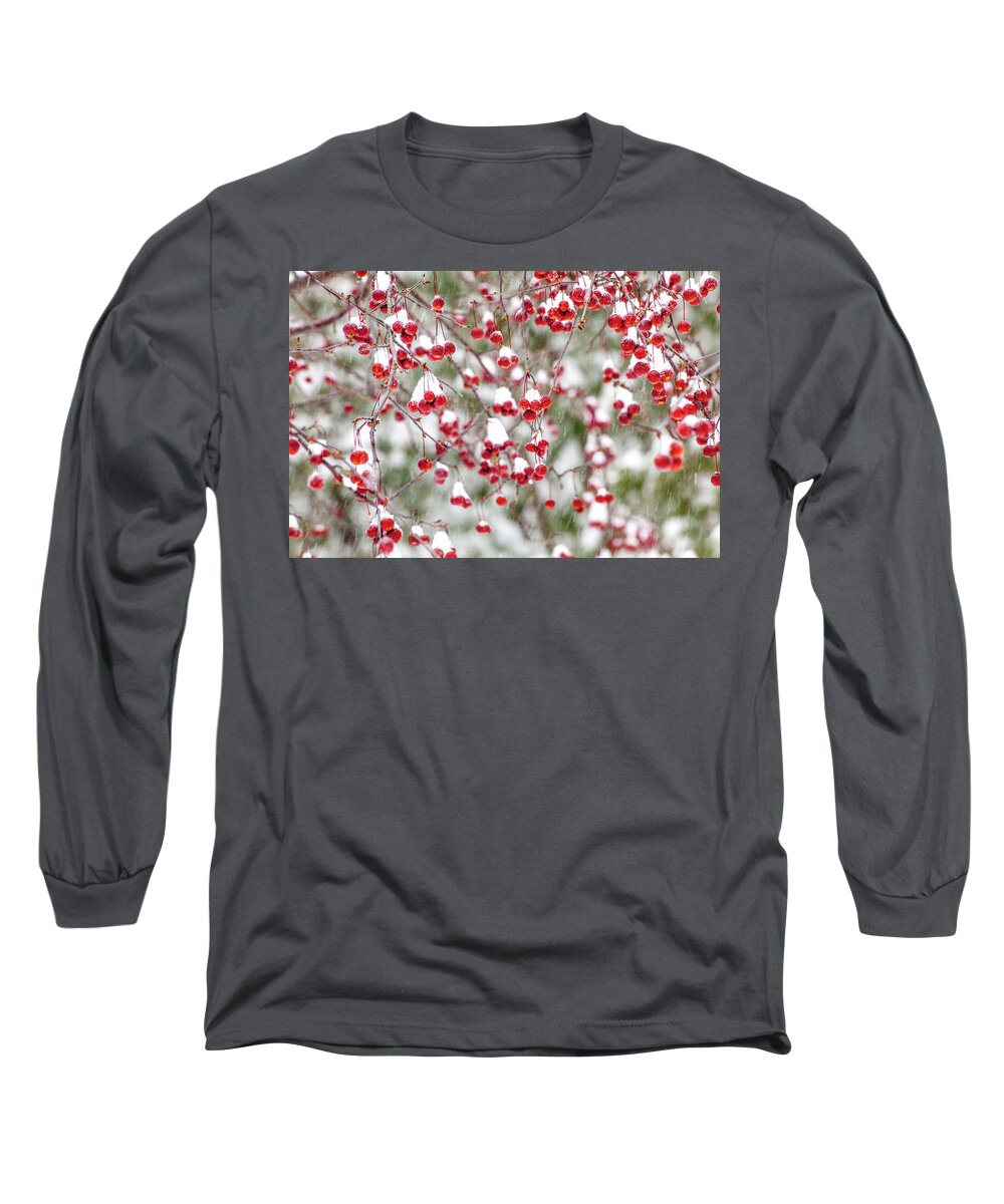 Winter Long Sleeve T-Shirt featuring the photograph Snow Covered Red Berries by Trevor Slauenwhite
