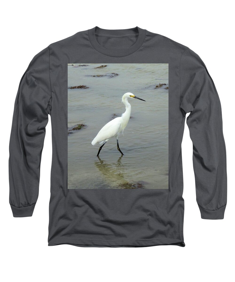 Birds Long Sleeve T-Shirt featuring the photograph Snowy Egret Strolling by Karen Stansberry