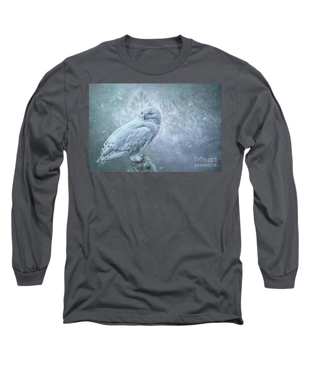 Snowy Owl Long Sleeve T-Shirt featuring the photograph Snowy Owl in winter by Brian Tarr