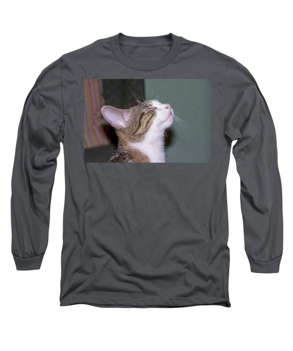 Kitty Long Sleeve T-Shirt featuring the photograph So Pleased by Chuck Shafer