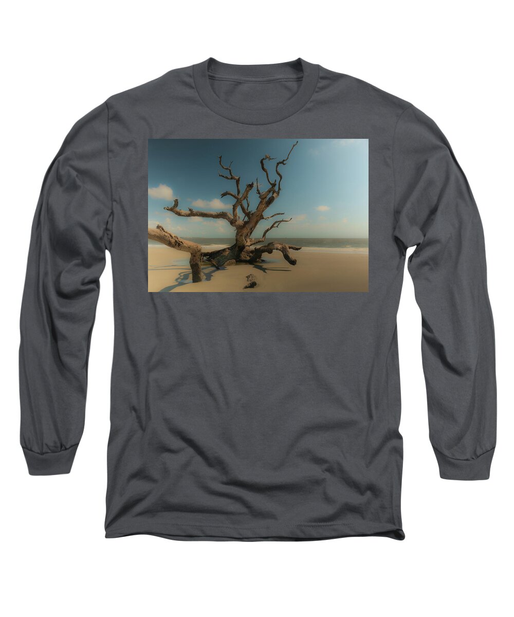 Driftwood Long Sleeve T-Shirt featuring the photograph Softly Weathered by Vicky Edgerly