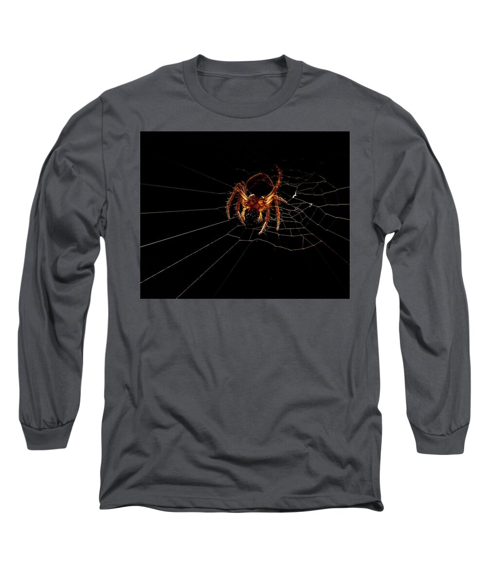 Animal Long Sleeve T-Shirt featuring the photograph Macro Photography - Spider on Web by Amelia Pearn
